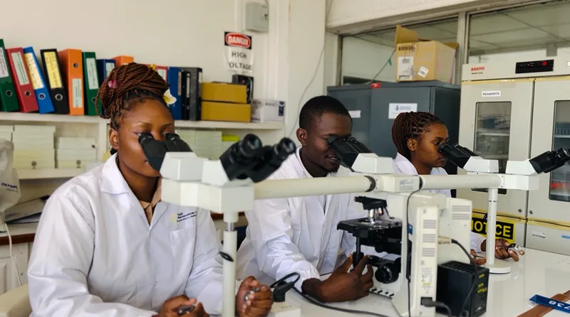 Scientists working at laboratory microscopes